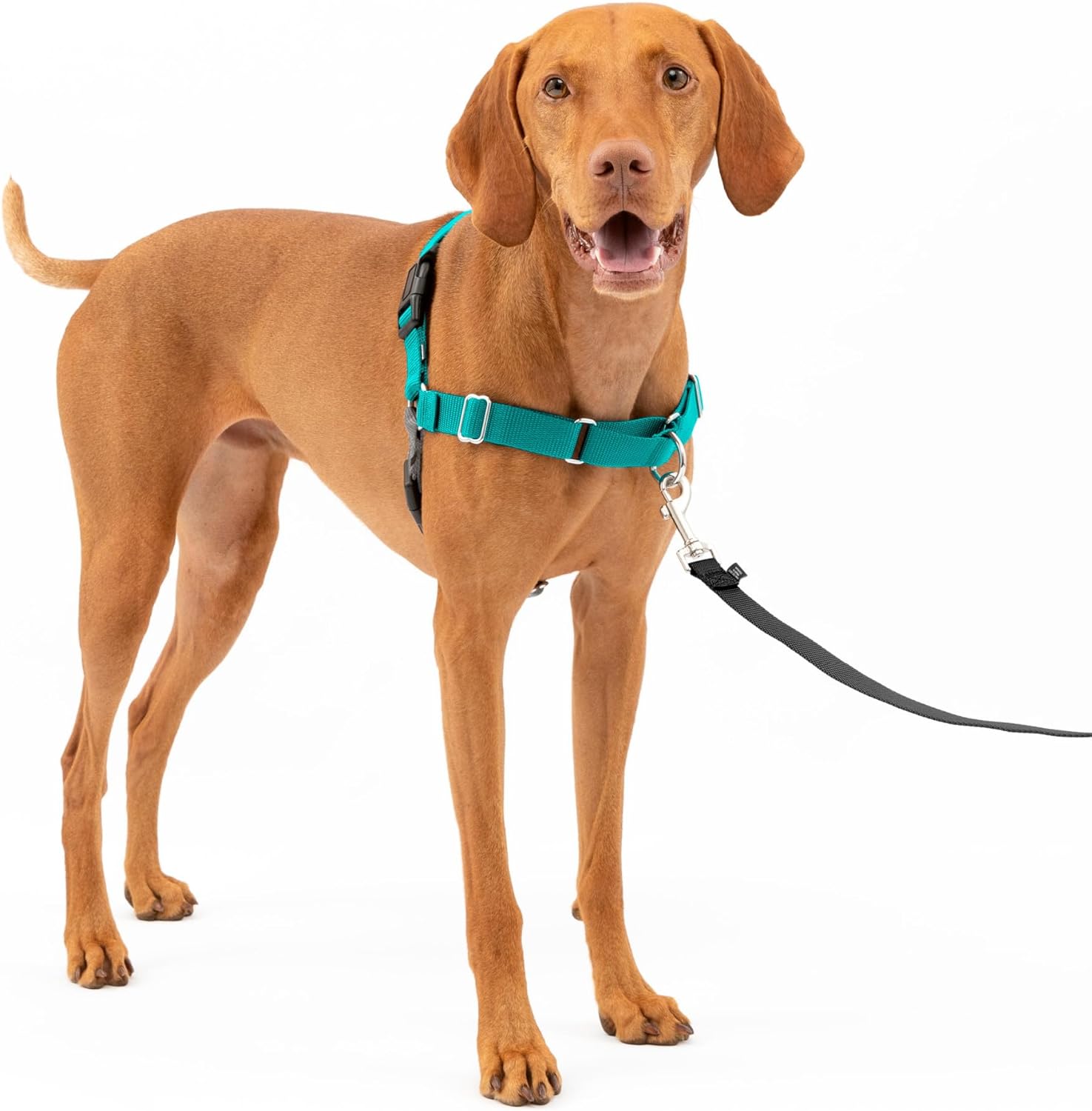 PetSafe Easy Walk Dog Harness, Large