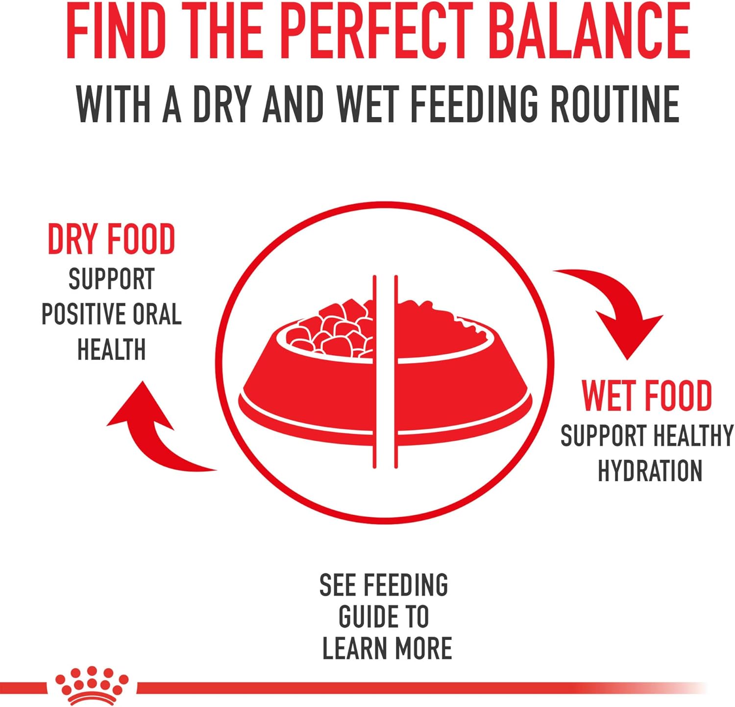 Royal Canin Adult Indoor Cat Food 3lb Hairball Weight Management Digestive