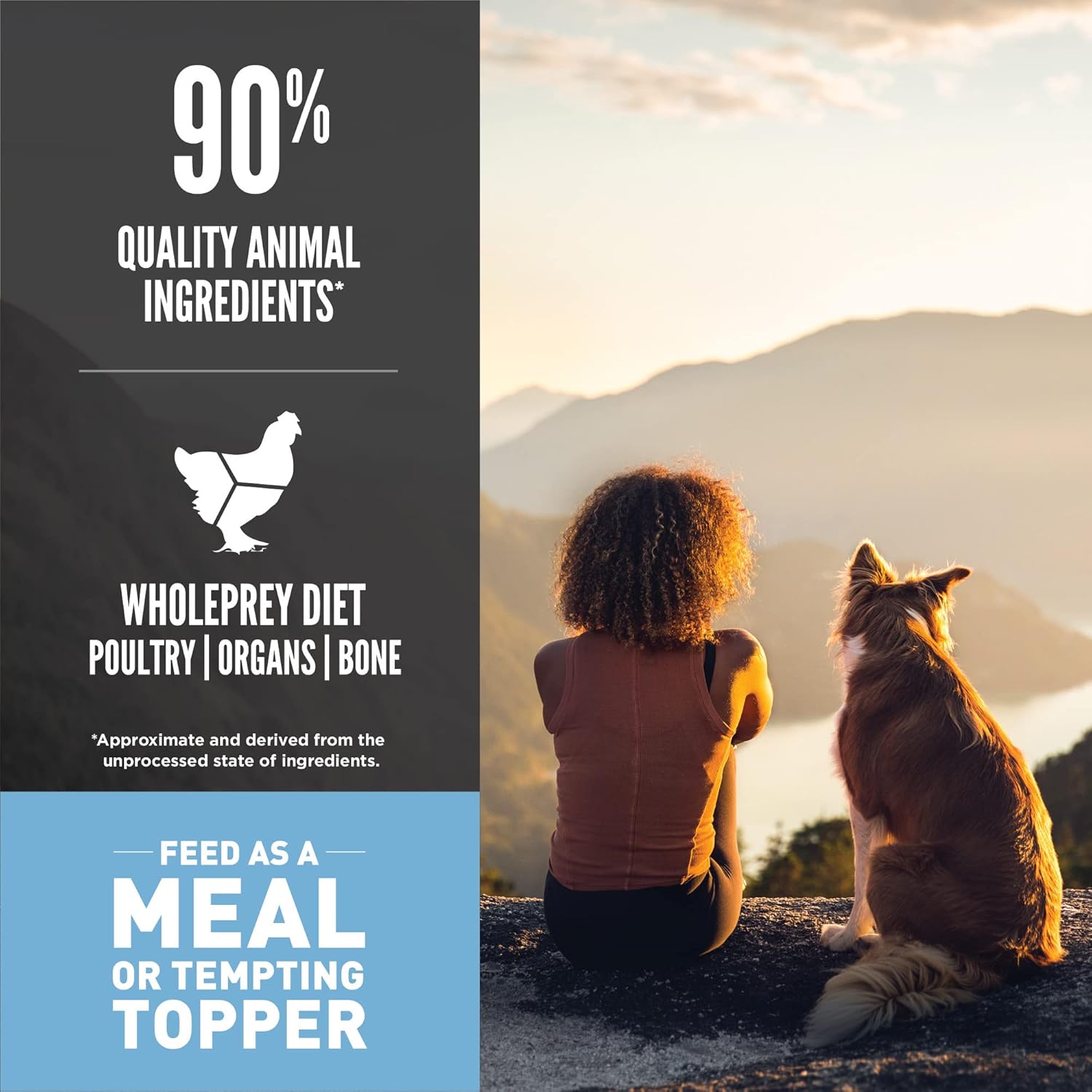 Grain Free High Protein Freeze Dried Dog Food & Topper Original Recipe 6Oz Bag