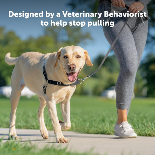 PetSafe Easy Walk Dog Harness, Large