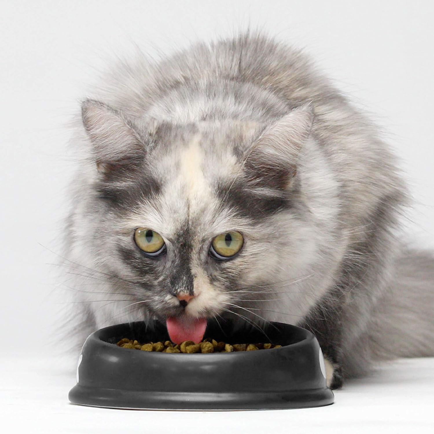Open Farm Turkey Chicken Cat Food 4lb Grain Free Crunchy Recipe