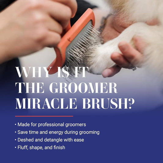 Chris Christensen Big G Dog Slicker Brush for Grooming, GroomGrip Coating, Coral