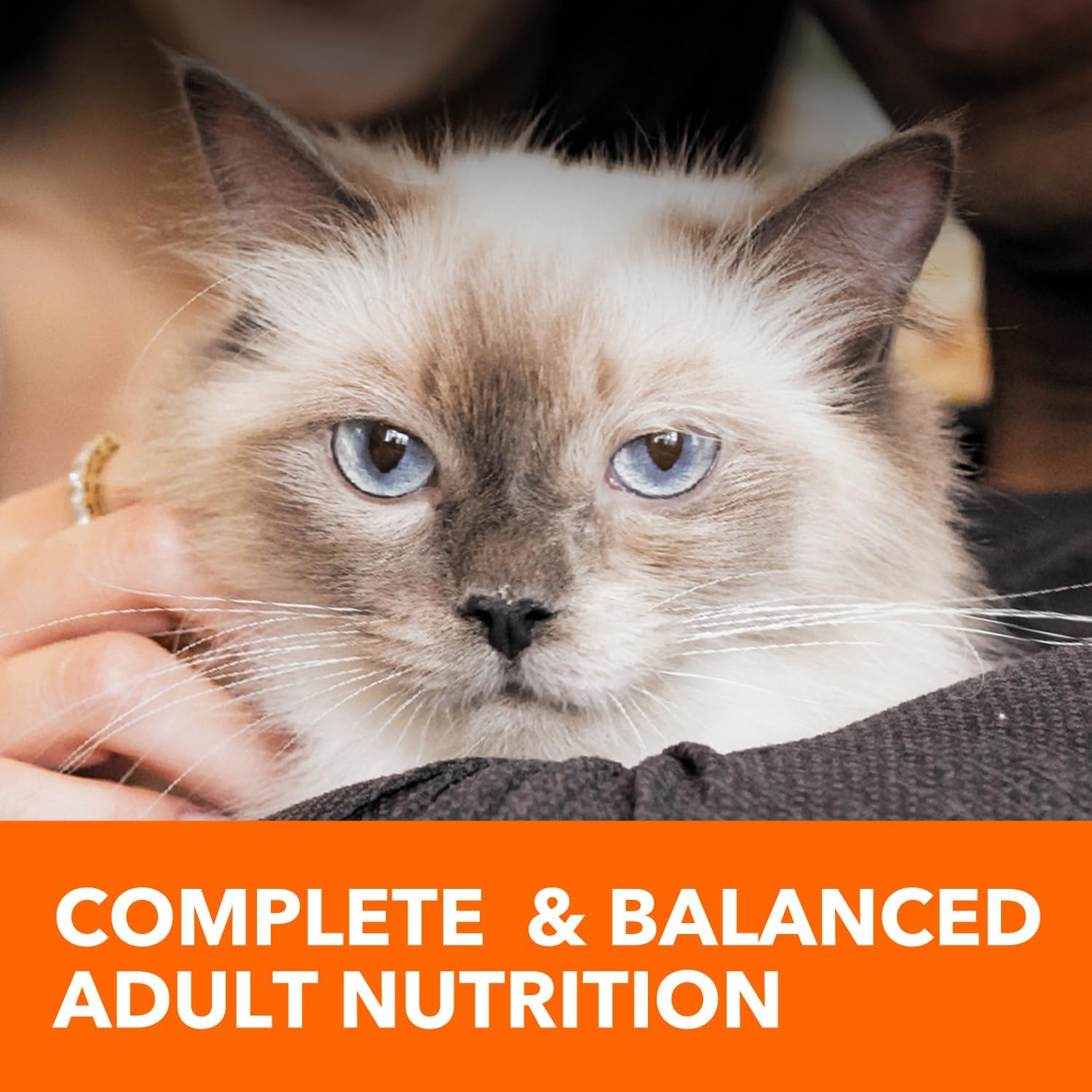 Iams ProActive Health Indoor Weight & Hairball Care Adult Dry Cat Food,22lb