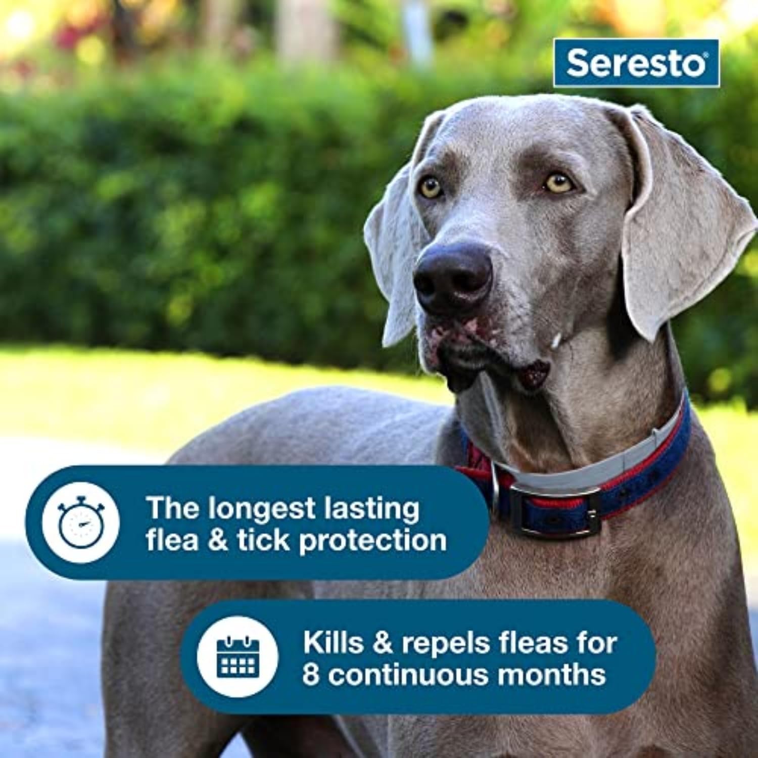 Seresto Flea and Tick Collar for LARGE Dogs NEW & SEALED!