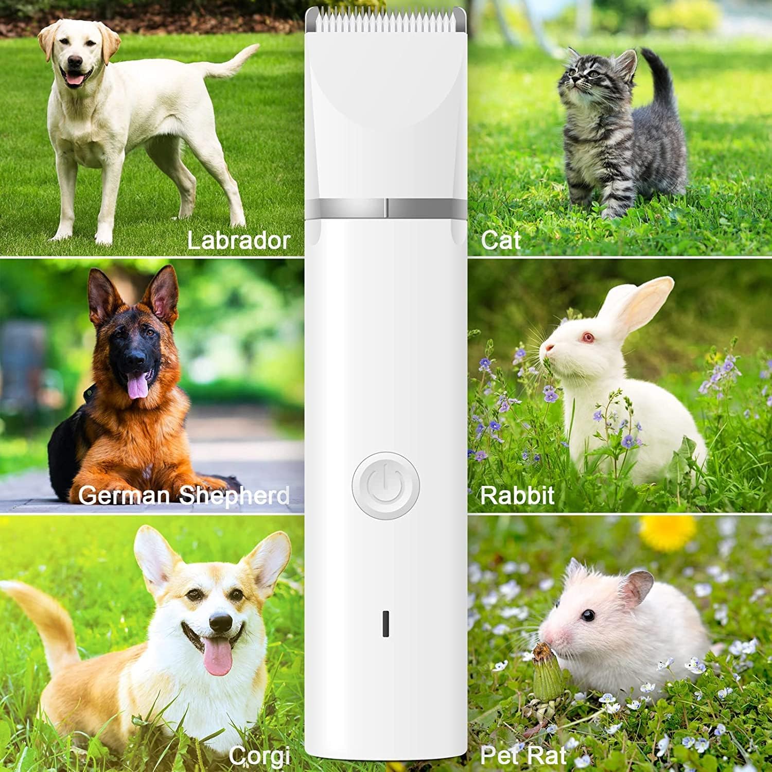 Dog Clippers Grooming Kit Hair Clipper-Low Noise Paw Trimmer