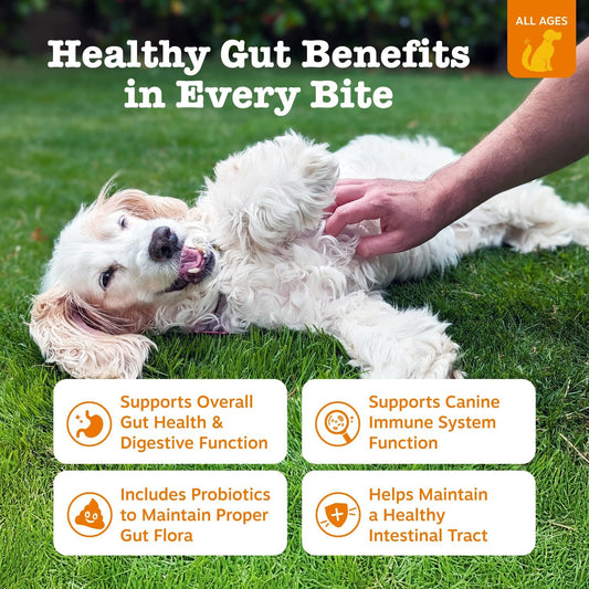 Zesty Paws 90 Probiotics for Dogs Digestive Enzymes for Gut Flora Pumpkin
