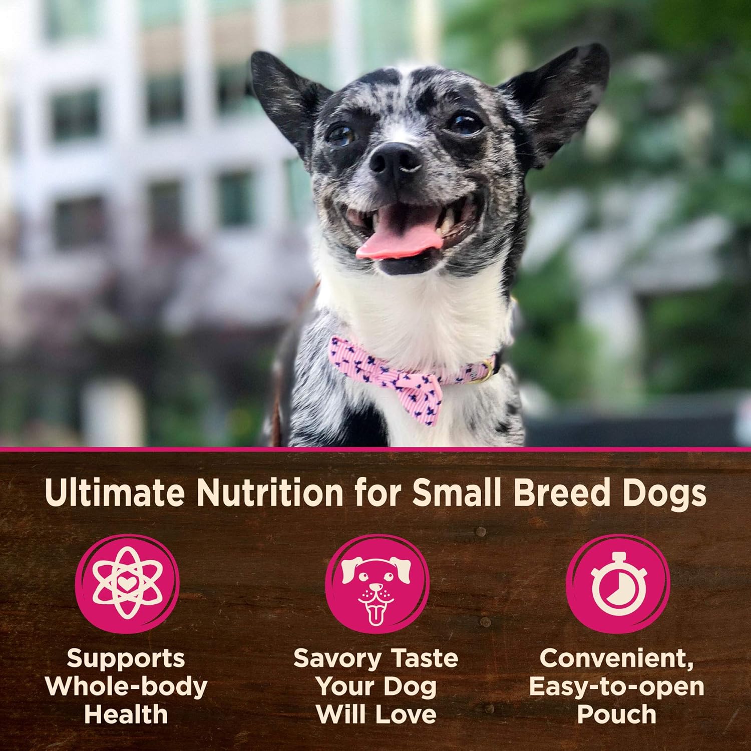Wellness CORE Natural Grain Free Small Breed Mini Meals Wet Dog Food, Shredded