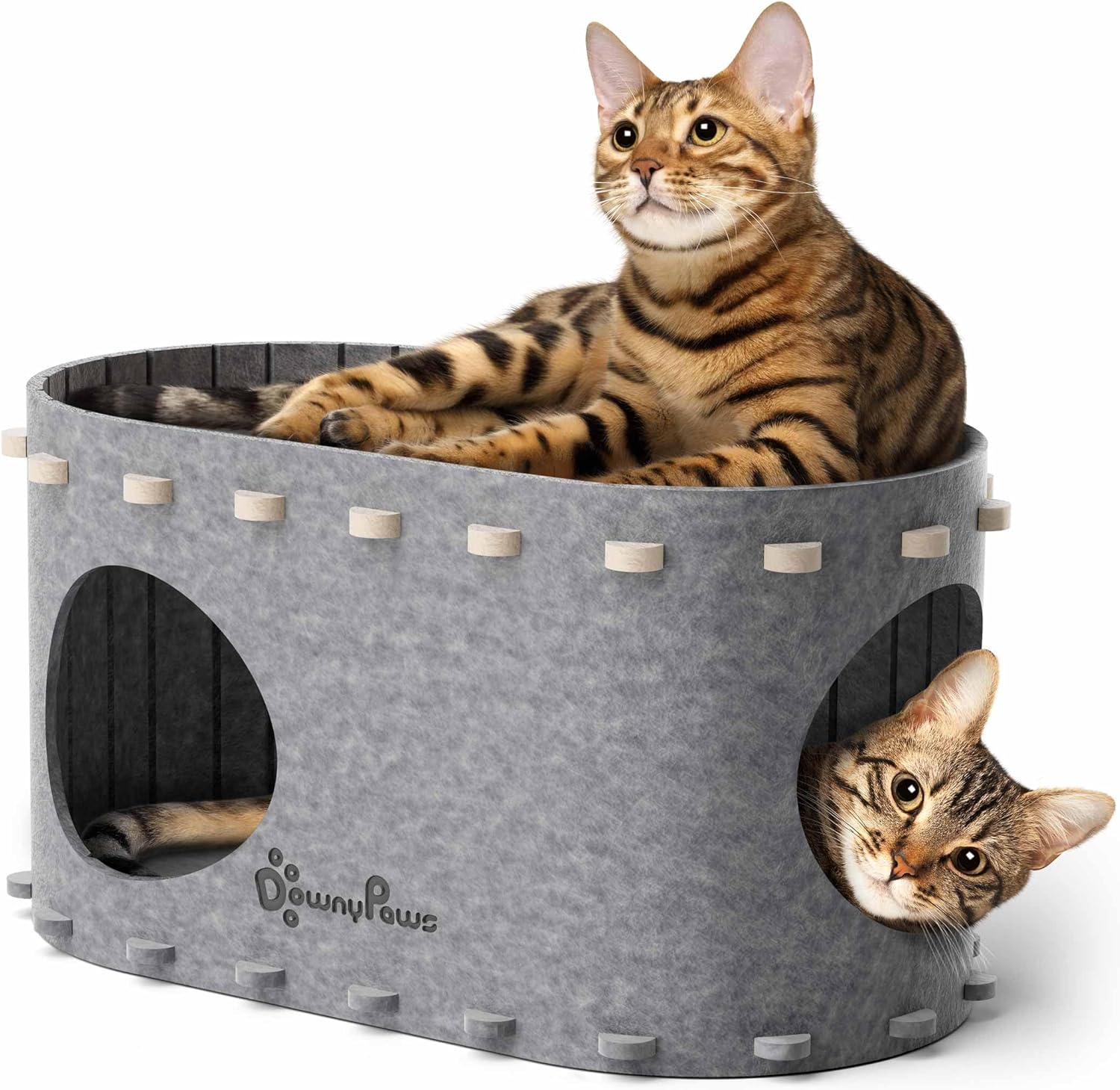 Cat House for Indoor Cats, Cat Bed Cave for Multiple & Large Cats up to 22 Lbs, Scratch Resistant Peekaboo Cat Caves, Foldable Tunnel Enclosed Bed, Peekapurr, Forest