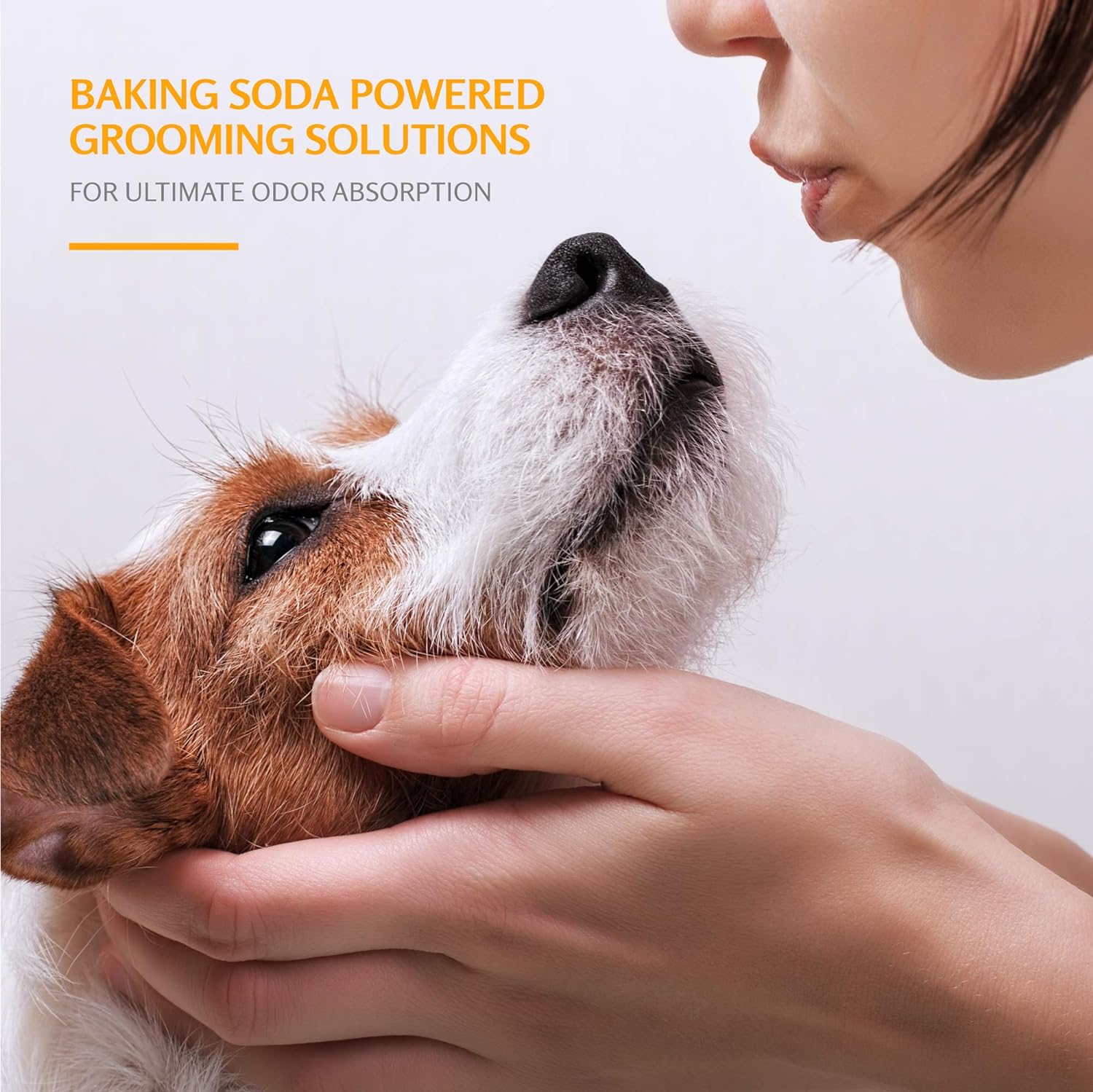 Pets Soothing Oatmeal Pet Shampoo | Nourishing and Moisturizing Dog Shampoo
