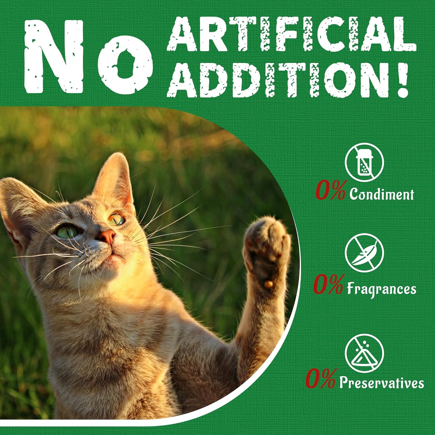 13.4 OZ Cat Grass Treats for Indoor Cats Hairball Control Natural Salmon Kitten Treats Healthy Cat Snacks Training Biscuits Catnip for Cats Dental Care