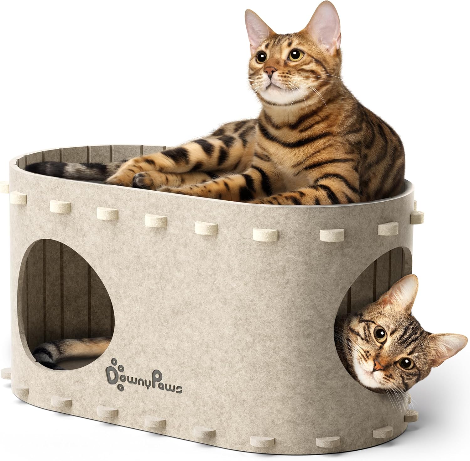 Cat House for Indoor Cats, Cat Bed Cave for Multiple & Large Cats up to 22 Lbs, Scratch Resistant Peekaboo Cat Caves, Foldable Tunnel Enclosed Bed, Peekapurr, Forest