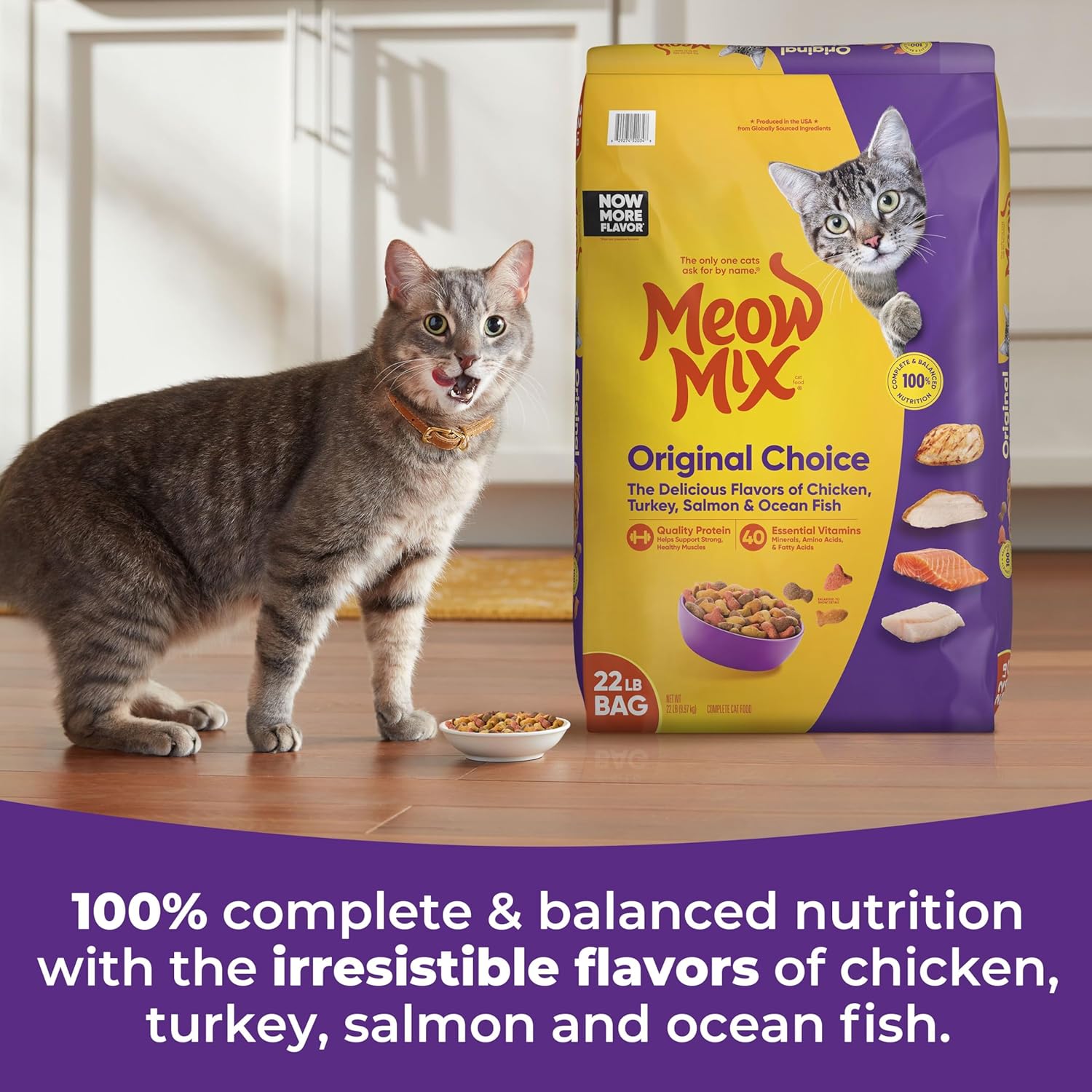 2Pack Original Choice Dry Cat Food, 22 Pound Bag
