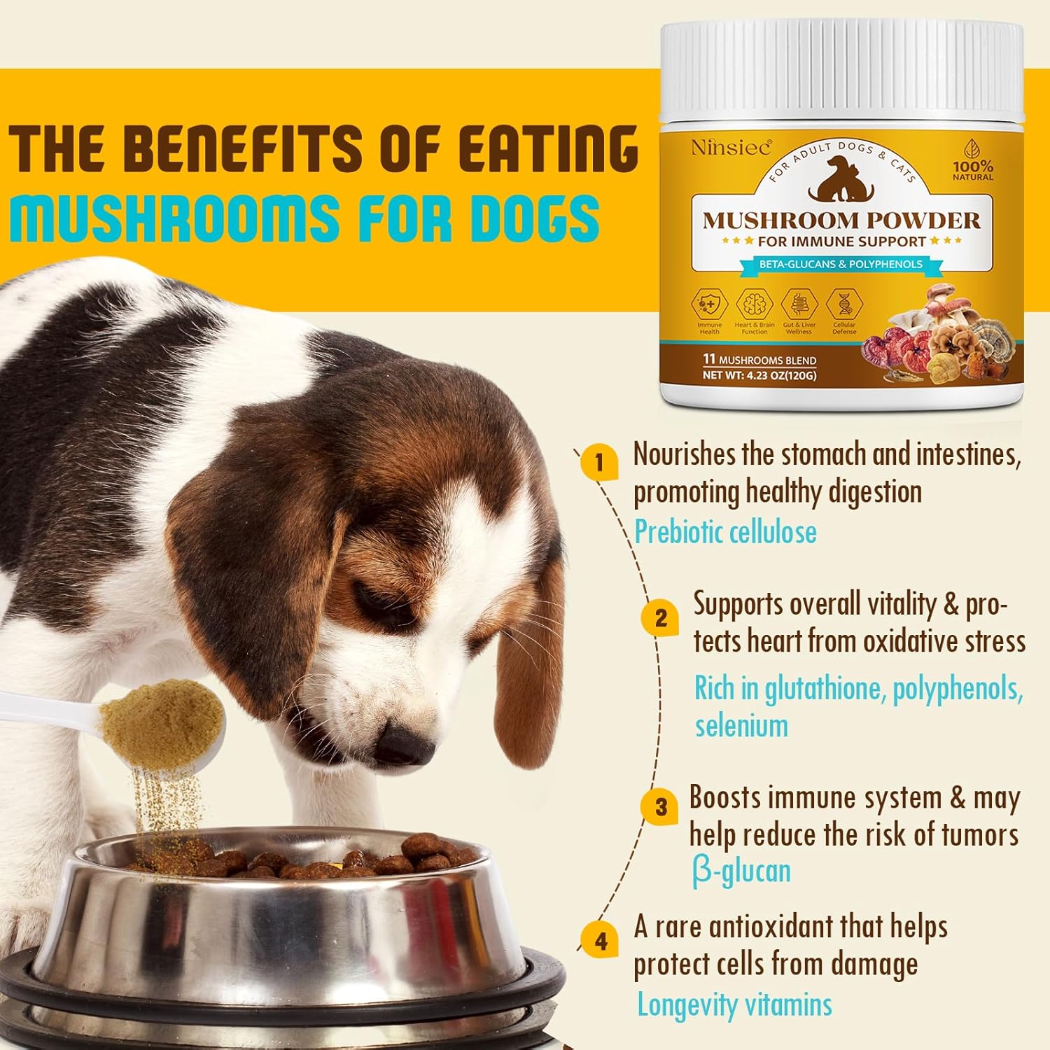 Mushroom Supplement Powder for Dogs & Cats, Turkey Tail Mushroom for Pets