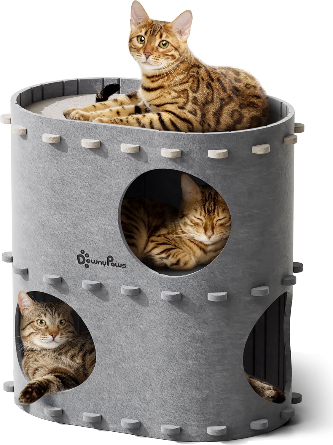 Cat House for Indoor Cats, Cat Bed Cave for Multiple & Large Cats up to 22 Lbs, Scratch Resistant Peekaboo Cat Caves, Foldable Tunnel Enclosed Bed, Peekapurr, Forest