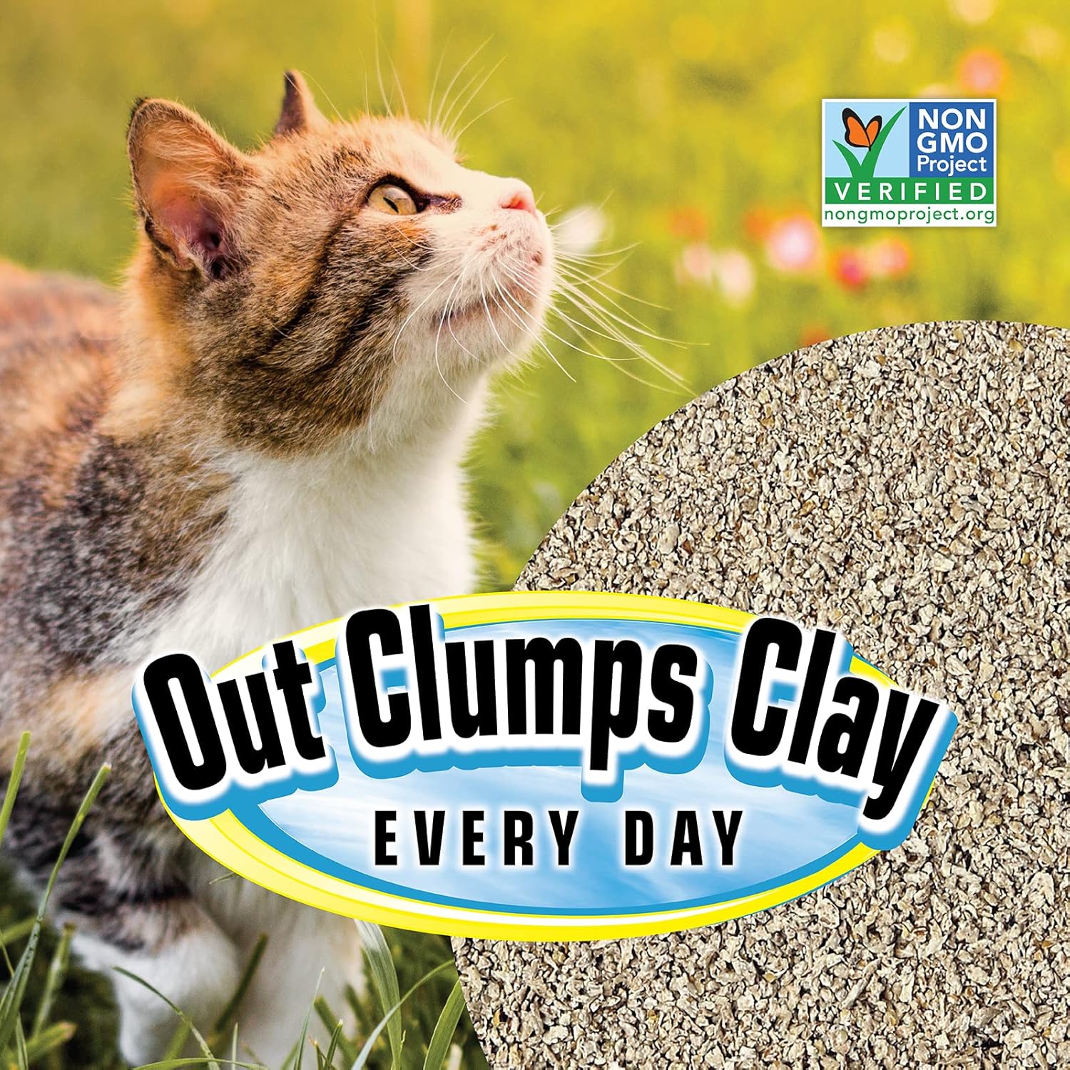 20 lb Unscented Clumping Cat Litter Made from Grass - Biodegradable & Safe