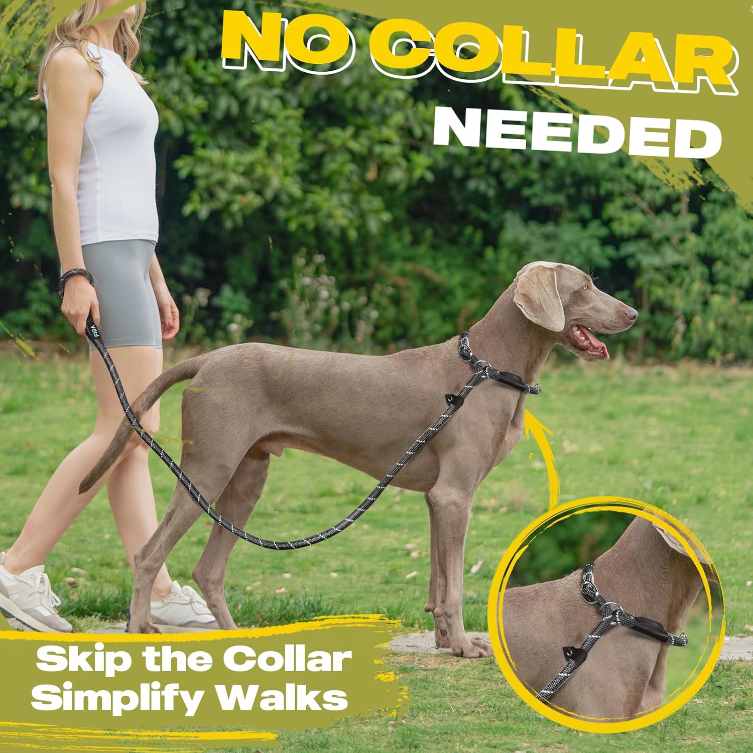 Dog Leash British Style Training Slip Lead Mocha 6 Foot Lead
