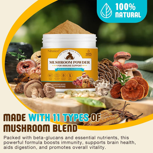 Mushroom Supplement Powder for Dogs & Cats, Turkey Tail Mushroom for Pets