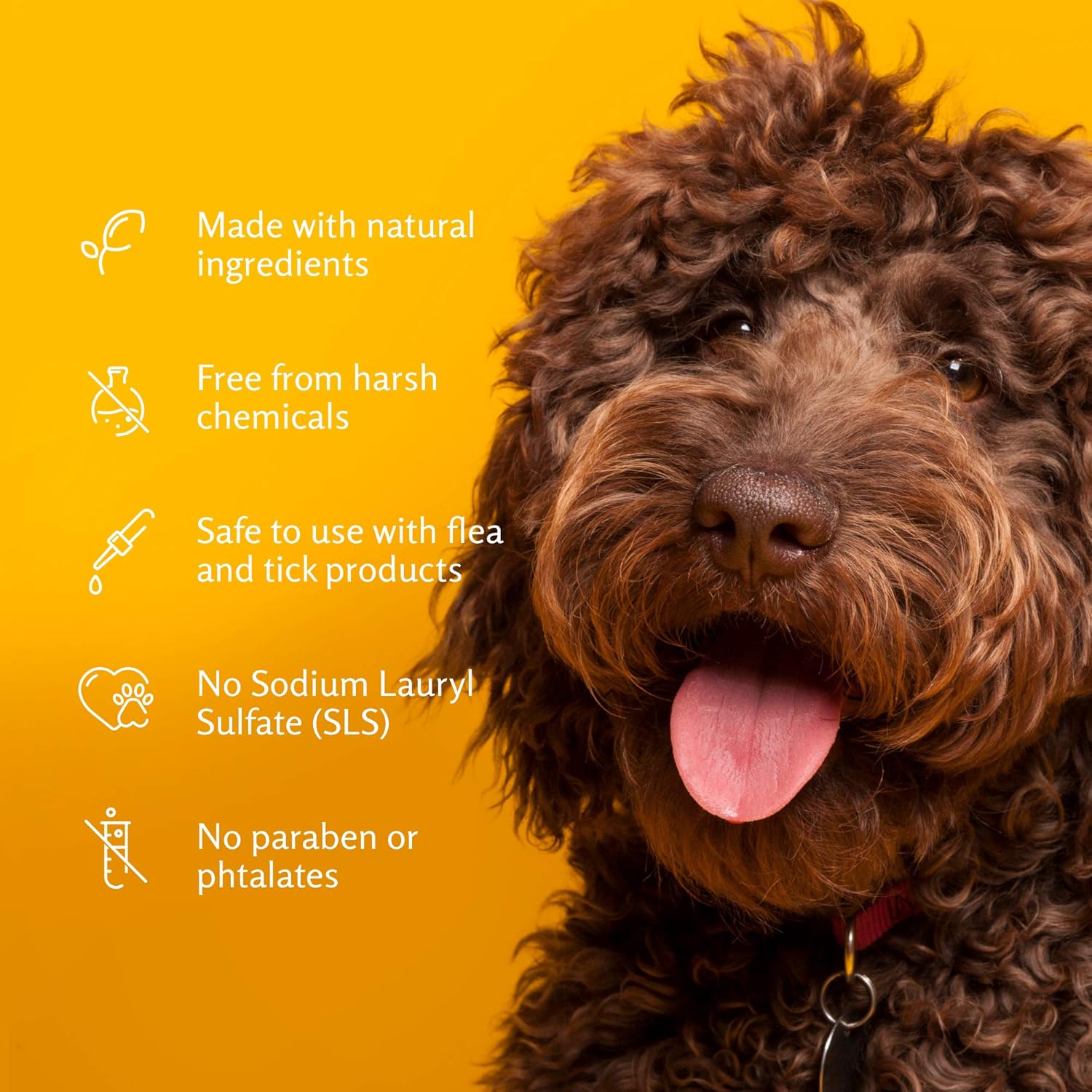 Pets Soothing Oatmeal Pet Shampoo | Nourishing and Moisturizing Dog Shampoo