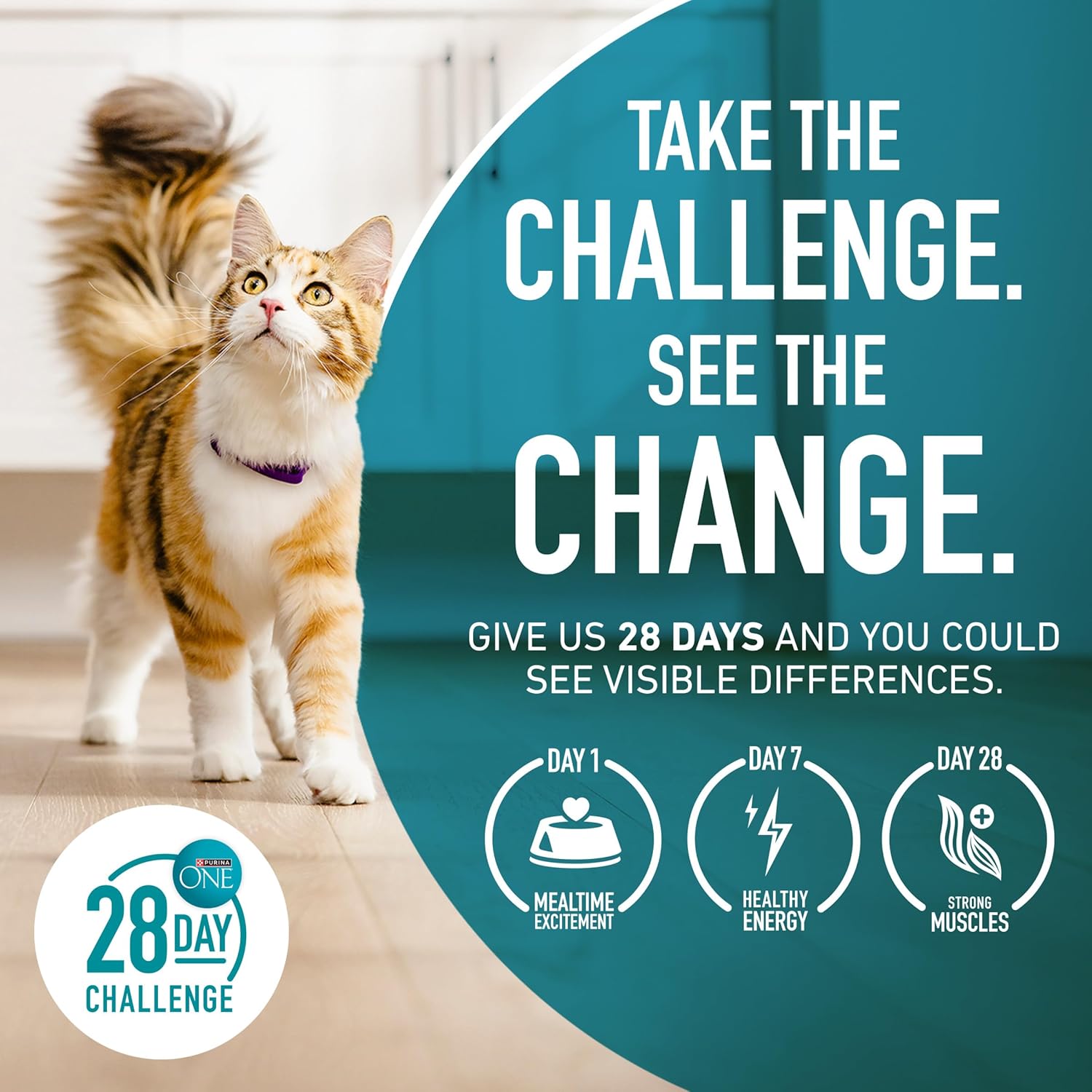 2Pack Purina ONE Tender Select Blends Dry Cat Food, Chicken, 22 lb Bag