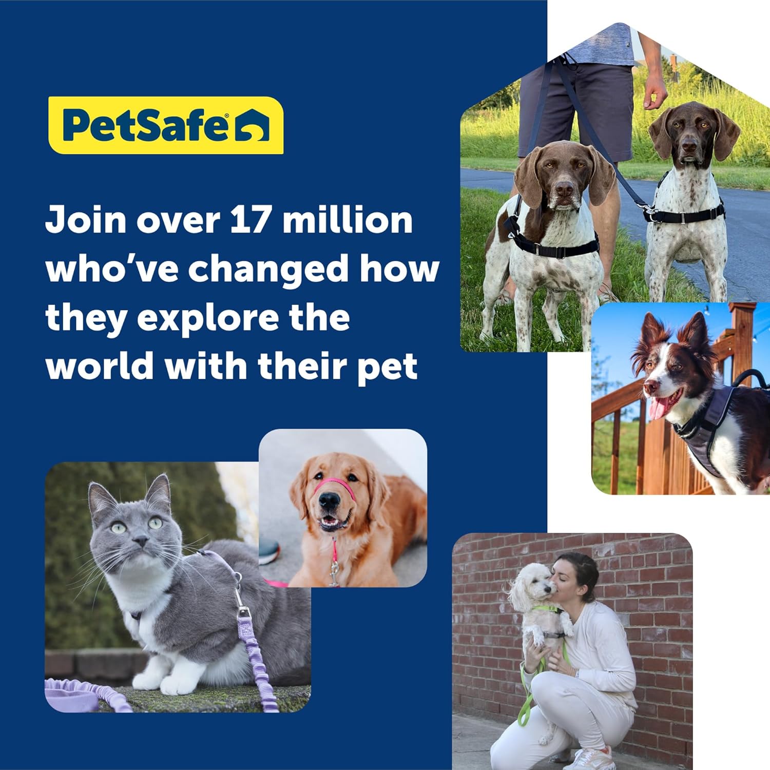 PetSafe Easy Walk Dog Harness, Large