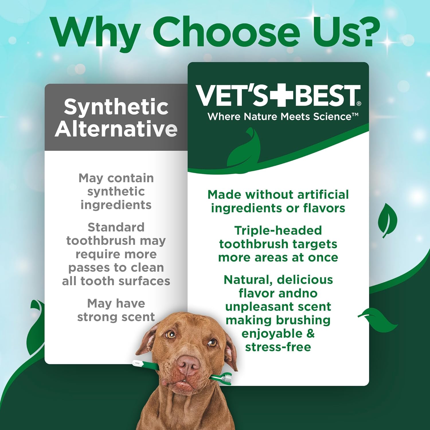 Dog Toothpaste & Dog Toothbrush, Dental Kit, Plaque Remover for Teeth
