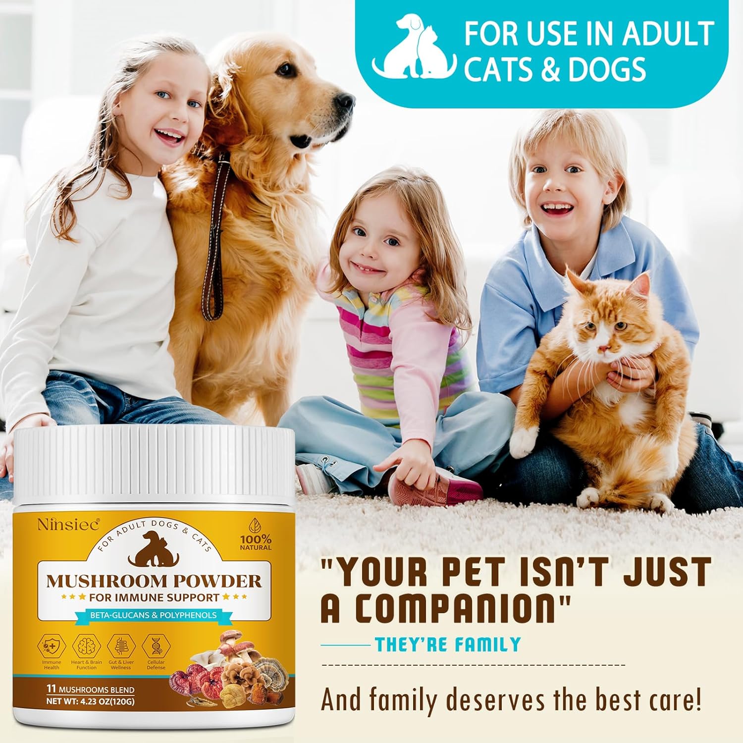 Mushroom Supplement Powder for Dogs & Cats, Turkey Tail Mushroom for Pets