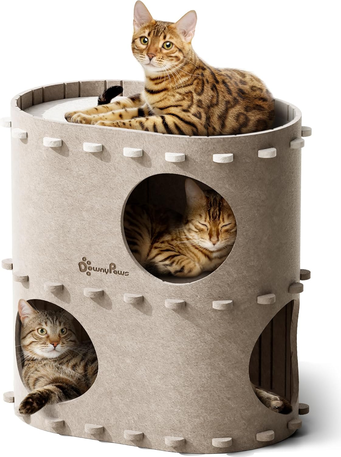 Cat House for Indoor Cats, Cat Bed Cave for Multiple & Large Cats up to 22 Lbs, Scratch Resistant Peekaboo Cat Caves, Foldable Tunnel Enclosed Bed, Peekapurr, Forest