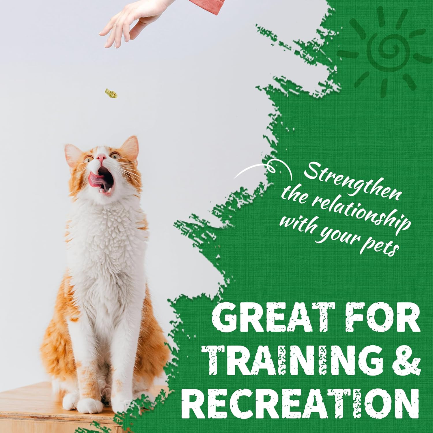 13.4 OZ Cat Grass Treats for Indoor Cats Hairball Control Natural Salmon Kitten Treats Healthy Cat Snacks Training Biscuits Catnip for Cats Dental Care