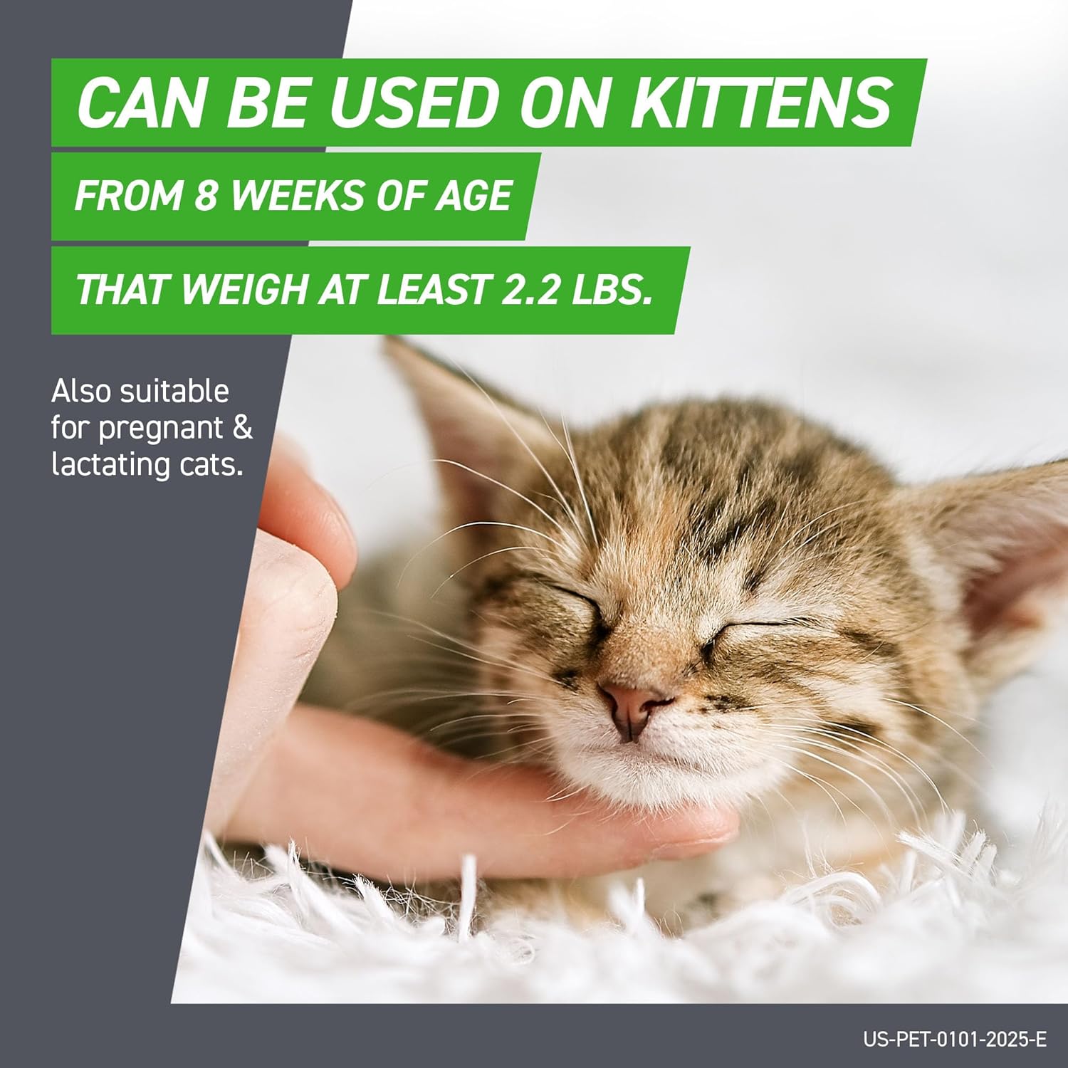 Cat Flea and Tick Treatment- Frontline Plus For Cats & Kitten