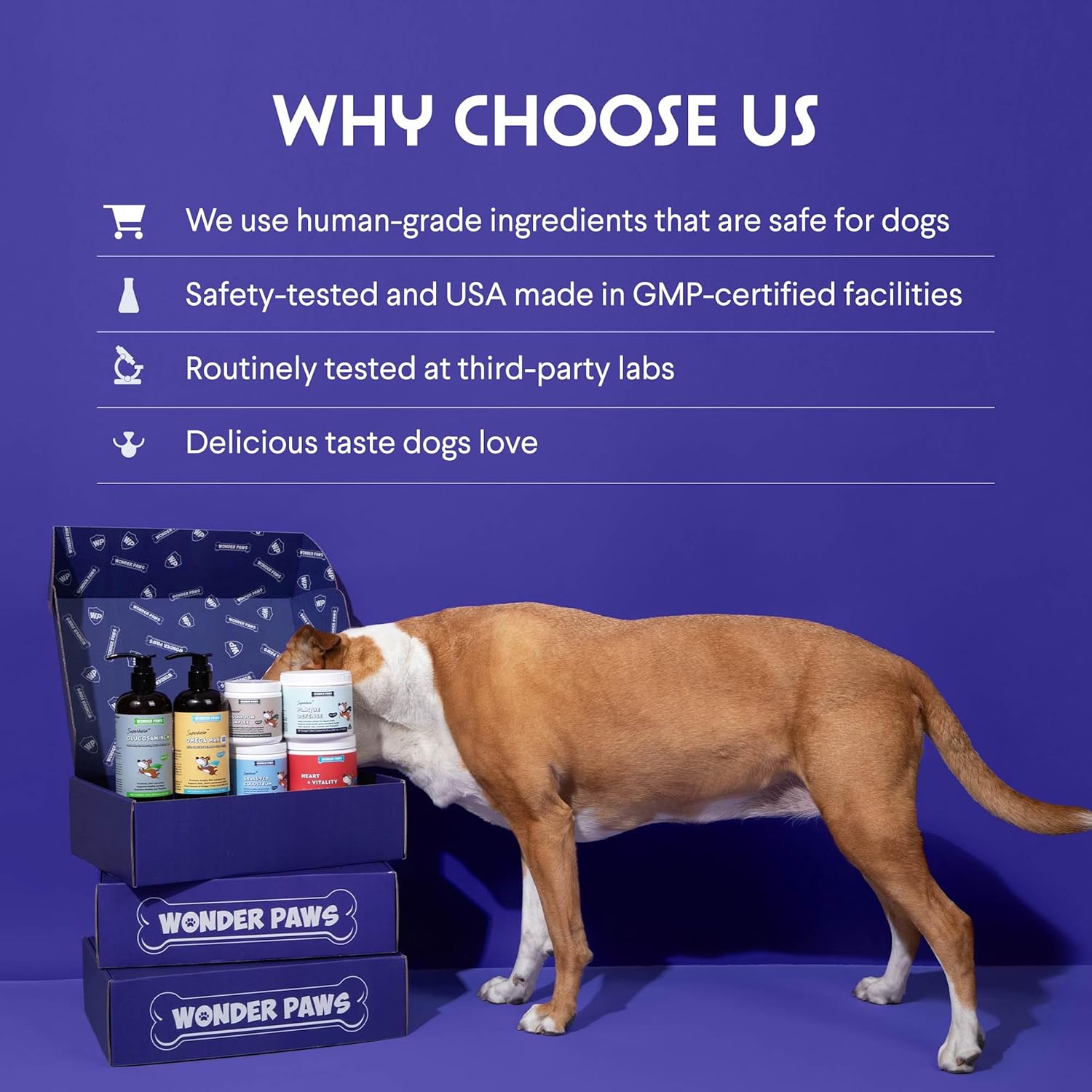 Premium Multivitamin For Dogs For Immune, Joint, Skin, Heart, & Digestive Health