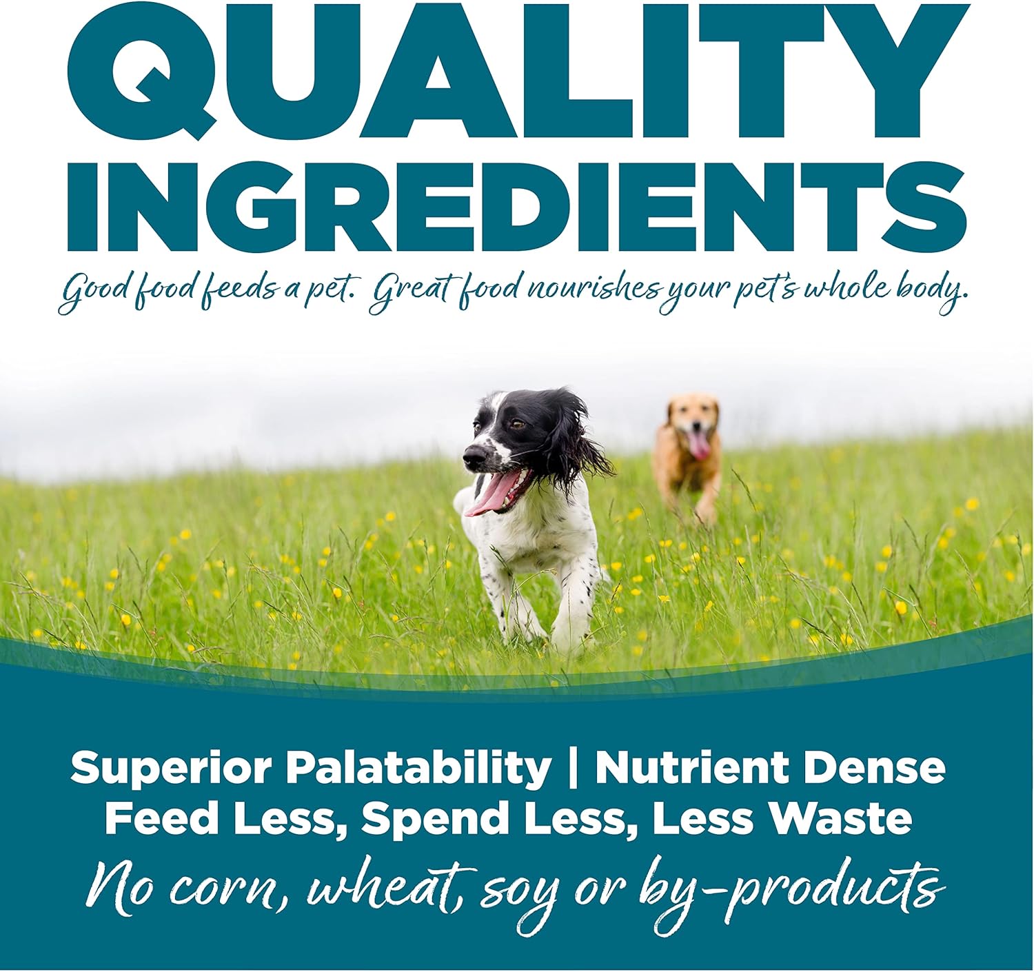 NutriSource Adult Dry Dog Food Chicken Rice 26LB