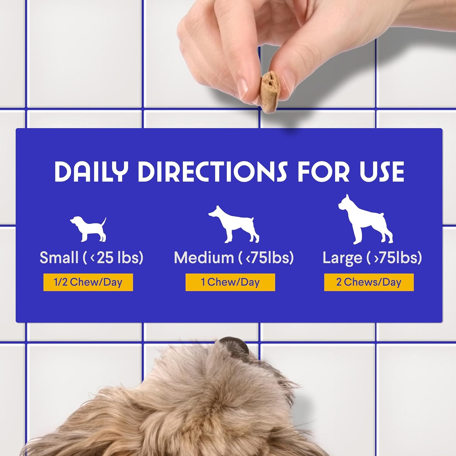 Premium Multivitamin For Dogs For Immune, Joint, Skin, Heart, & Digestive Health