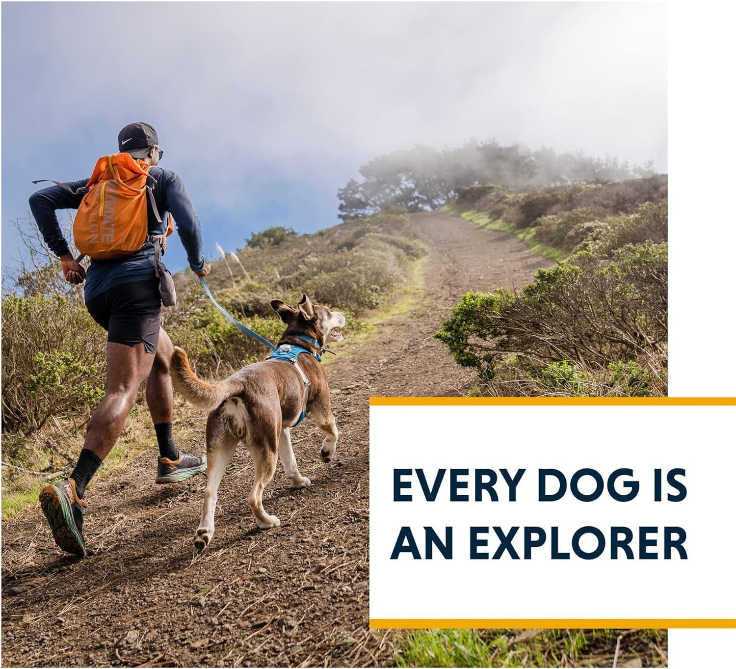 Lightweight Dog Harness, Trail Running, Walking, Hiking