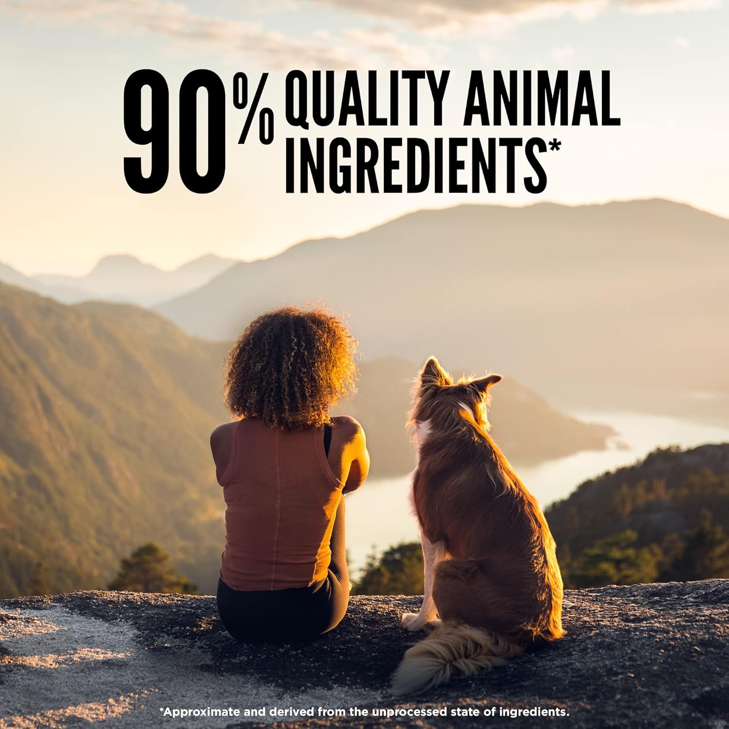 Grain Free High Protein Freeze Dried Dog Food & Topper Original Recipe 6Oz Bag