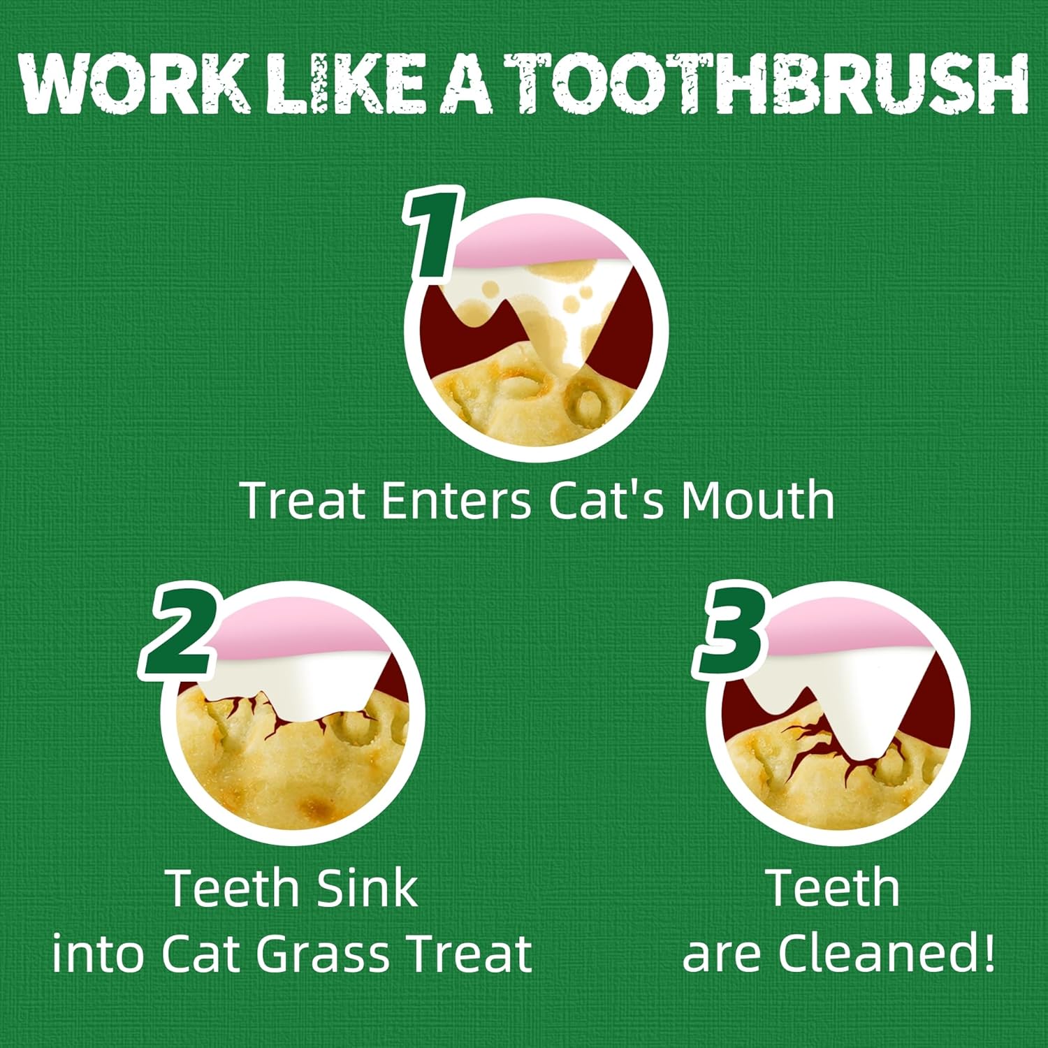 13.4 OZ Cat Grass Treats for Indoor Cats Hairball Control Natural Salmon Kitten Treats Healthy Cat Snacks Training Biscuits Catnip for Cats Dental Care