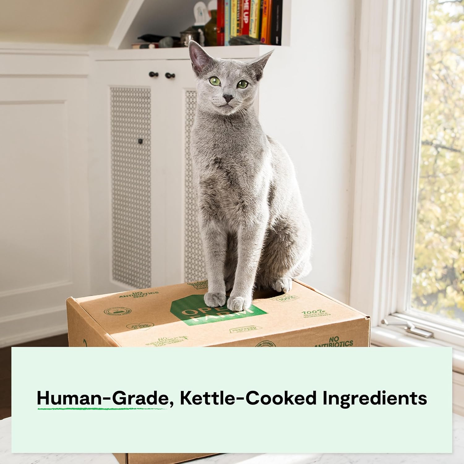 Rustic Blend Wet Cat Food, Complete & Balanced Medley Harvest Chicken Recipe