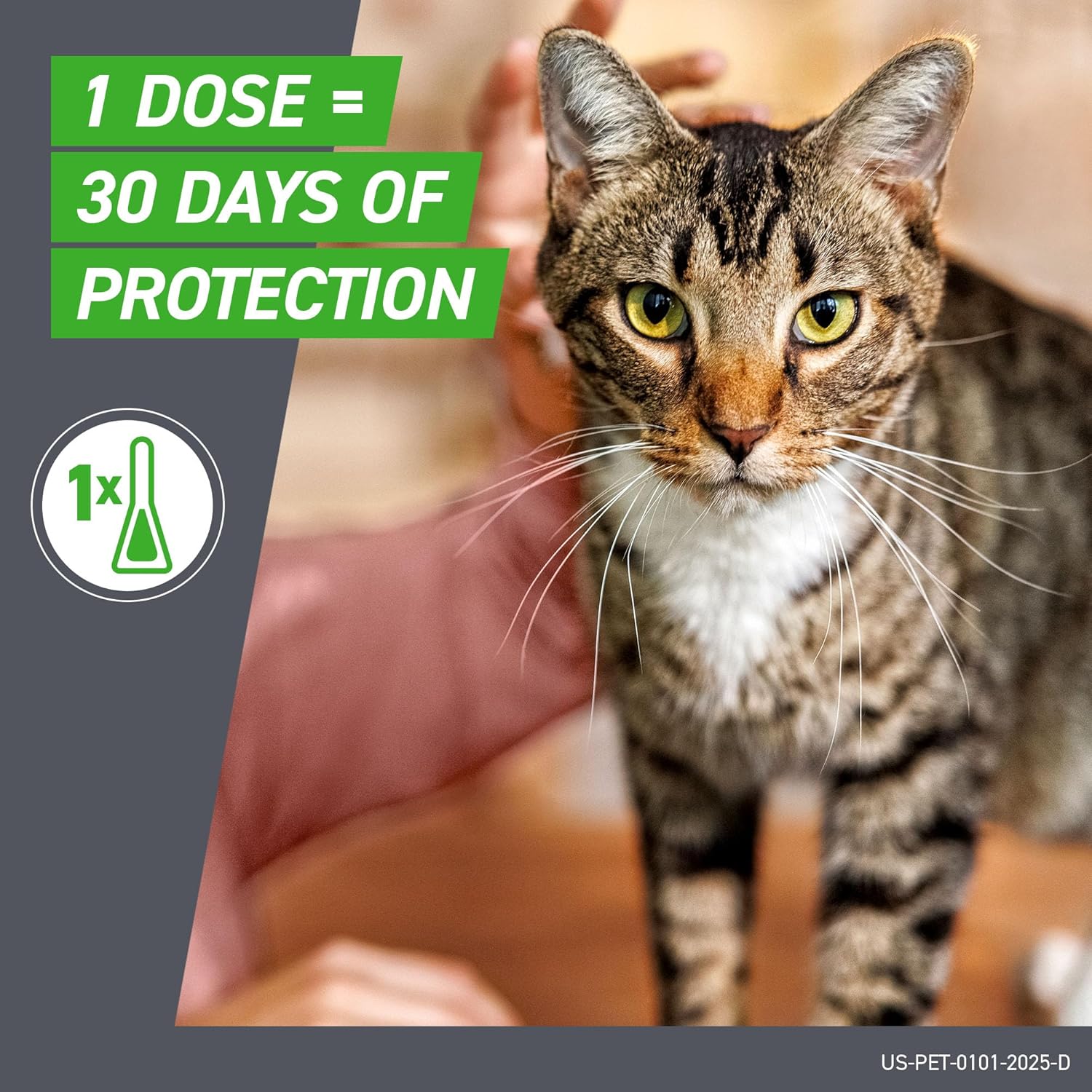 Cat Flea and Tick Treatment- Frontline Plus For Cats & Kitten
