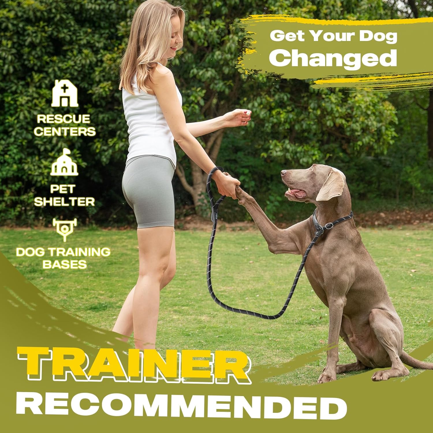 Dog Leash British Style Training Slip Lead Mocha 6 Foot Lead