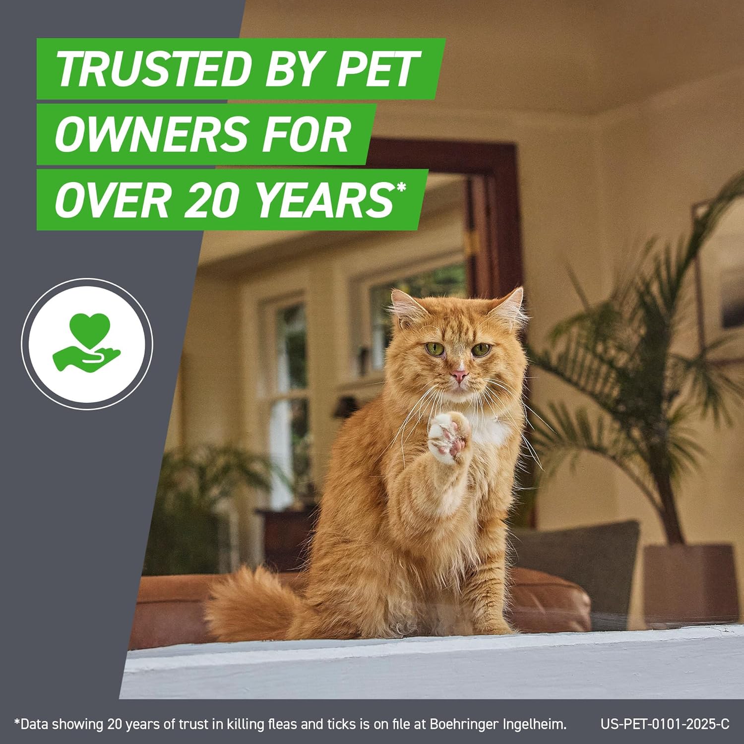 Cat Flea and Tick Treatment- Frontline Plus For Cats & Kitten