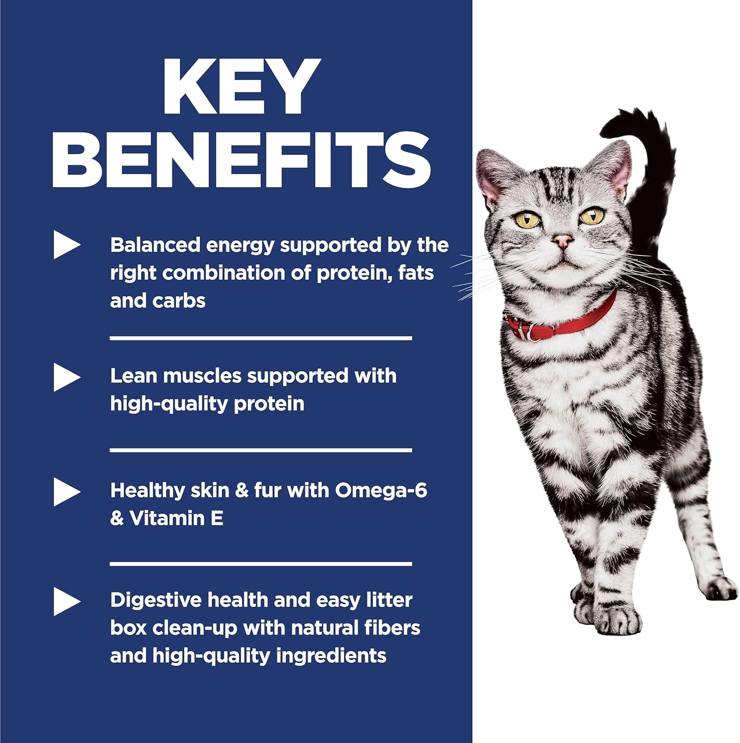 Hill's Science Diet Adult Indoor Chicken Recipe Dry Cat Food