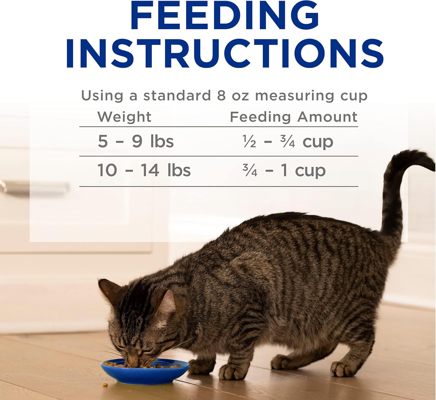 2Pack High Protein Dry Cat Food, Complete - (Pack of 4) 3.15 Lb. Bags