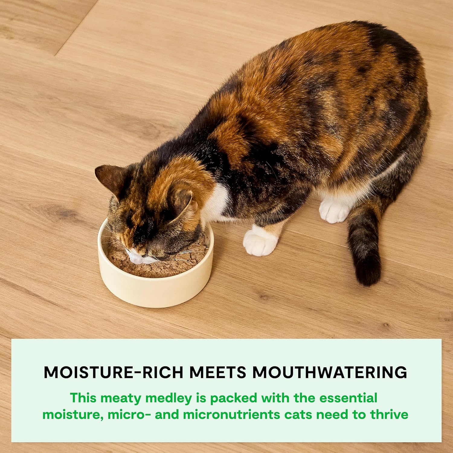Rustic Blend Wet Cat Food, Complete & Balanced Medley Harvest Chicken Recipe