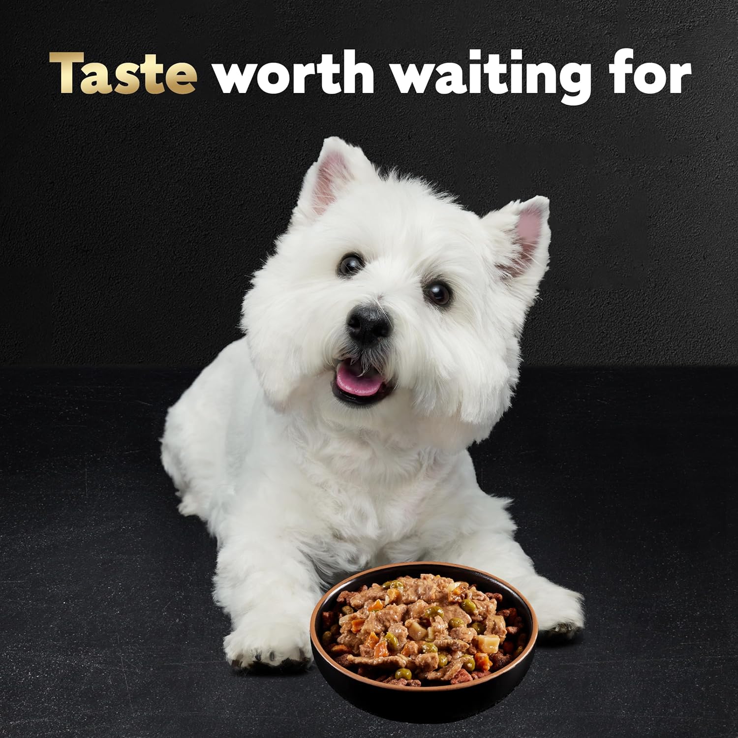 48 Pack Cesar Home Delights Variety Pack Small Breed Adult Wet Dog Food,3.5 Oz