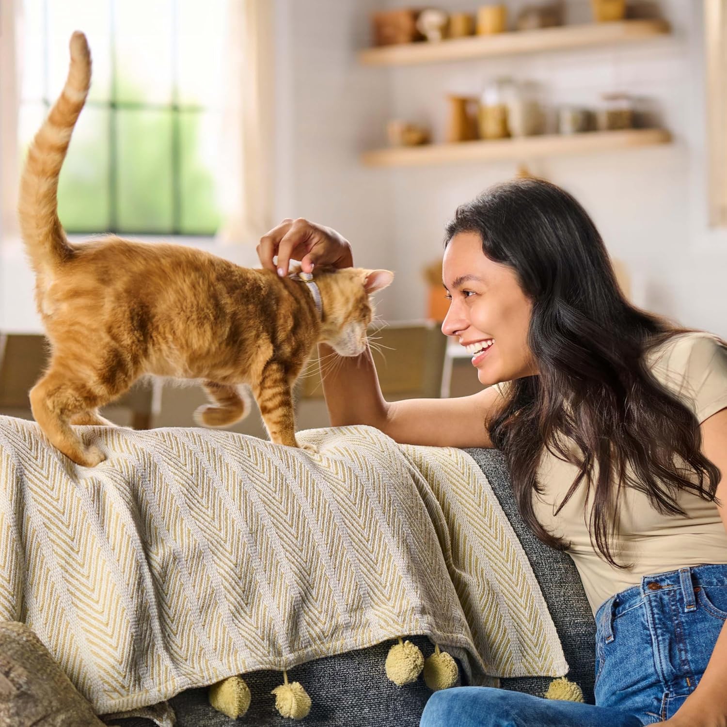 2Pack Original Choice Dry Cat Food, 22 Pound Bag
