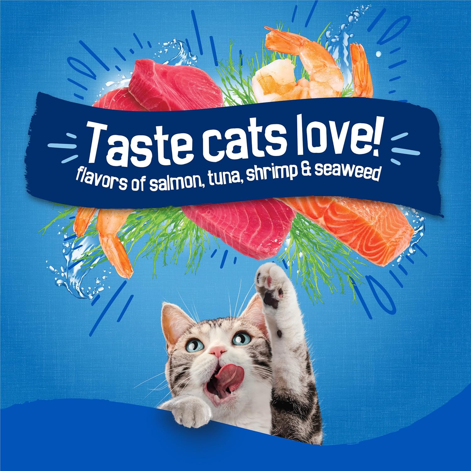 2Pack Purina  Dry Cat Food Seafood Sensations with Salmon, Tuna, and Shrimp Flavors - 22 Lb. Bag