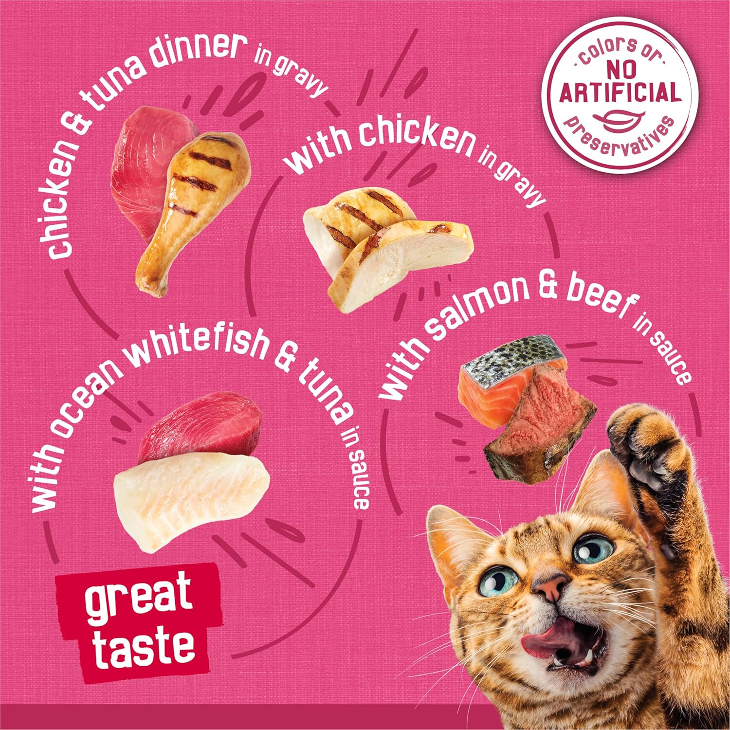 40Pack Purina  Gravy Wet Cat Food Variety Pack, Chicken, Ocean Whitefish