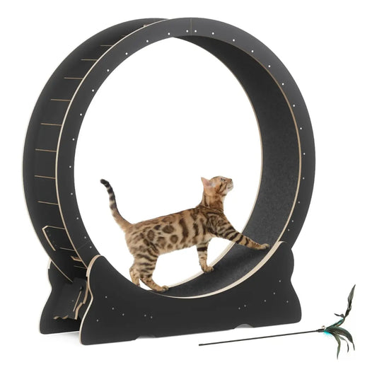Cat Exercise Wheel 43.3" Large Cat Treadmill Wheel for Indoor Cats Petokie