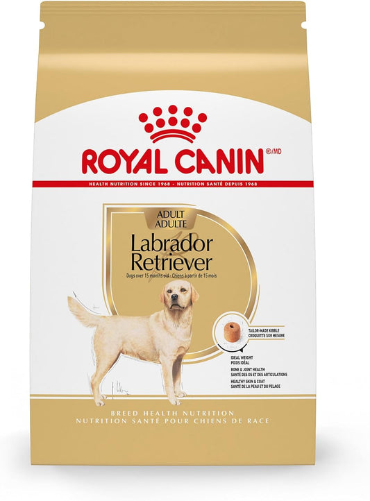 Royal Canin Breed Health Nutrition Labrador Retriever Adult Dry Dog Food, 30-lb