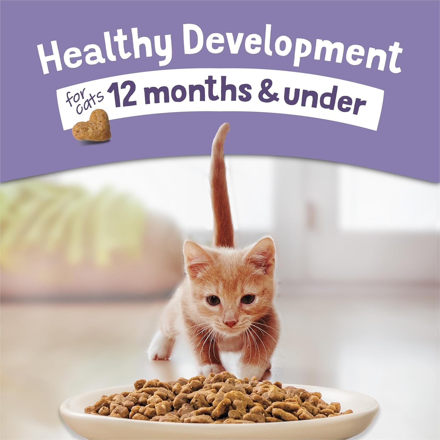 2 Bags Purina Kitten ChowHealthy Development, Indoor Dry Kitten Food, Chicken
