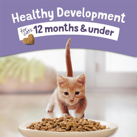 2 Bags Purina Kitten ChowHealthy Development, Indoor Dry Kitten Food, Chicken